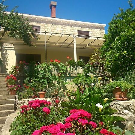 Antun Mozara Family House Bed and Breakfast Slano Εξωτερικό φωτογραφία