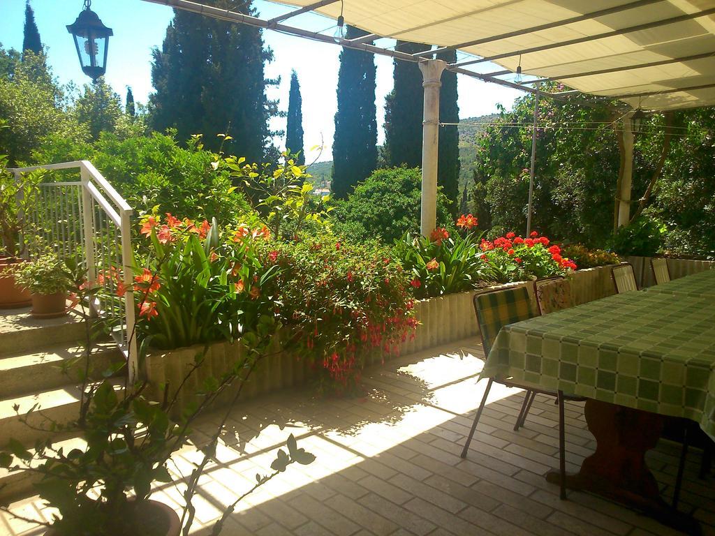 Antun Mozara Family House Bed and Breakfast Slano Εξωτερικό φωτογραφία