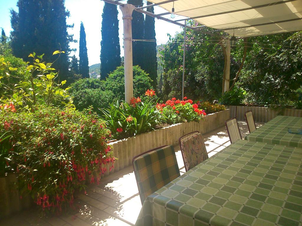 Antun Mozara Family House Bed and Breakfast Slano Εξωτερικό φωτογραφία