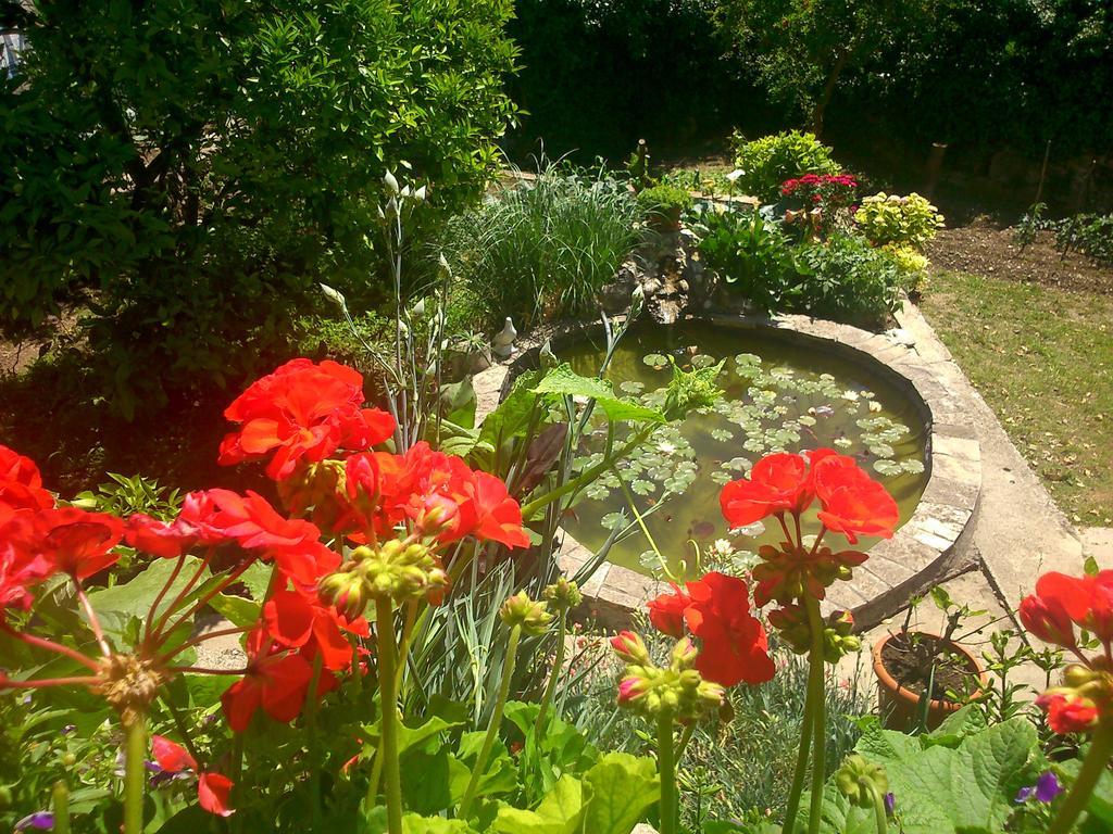 Antun Mozara Family House Bed and Breakfast Slano Εξωτερικό φωτογραφία