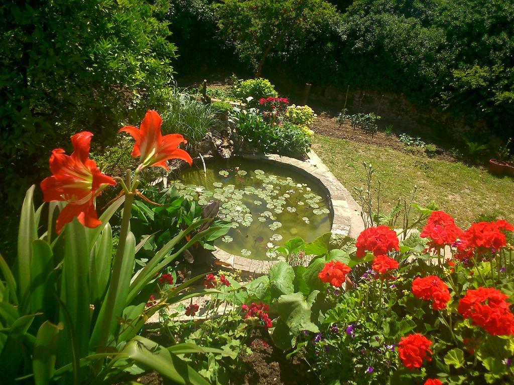 Antun Mozara Family House Bed and Breakfast Slano Εξωτερικό φωτογραφία