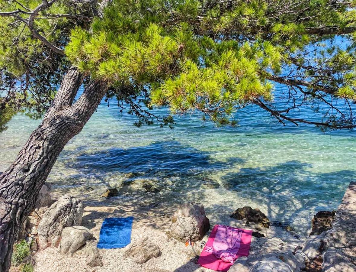 Antun Mozara Family House Bed and Breakfast Slano Εξωτερικό φωτογραφία