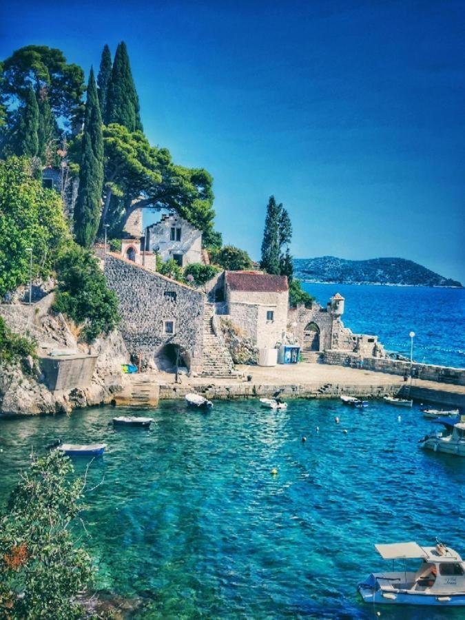 Antun Mozara Family House Bed and Breakfast Slano Εξωτερικό φωτογραφία