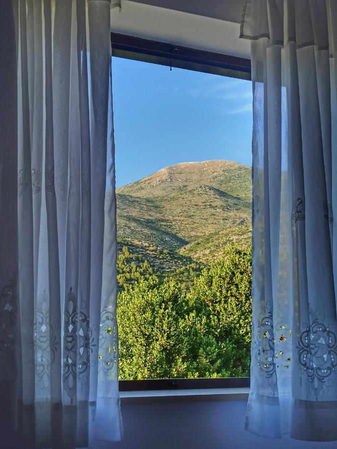 Antun Mozara Family House Bed and Breakfast Slano Εξωτερικό φωτογραφία