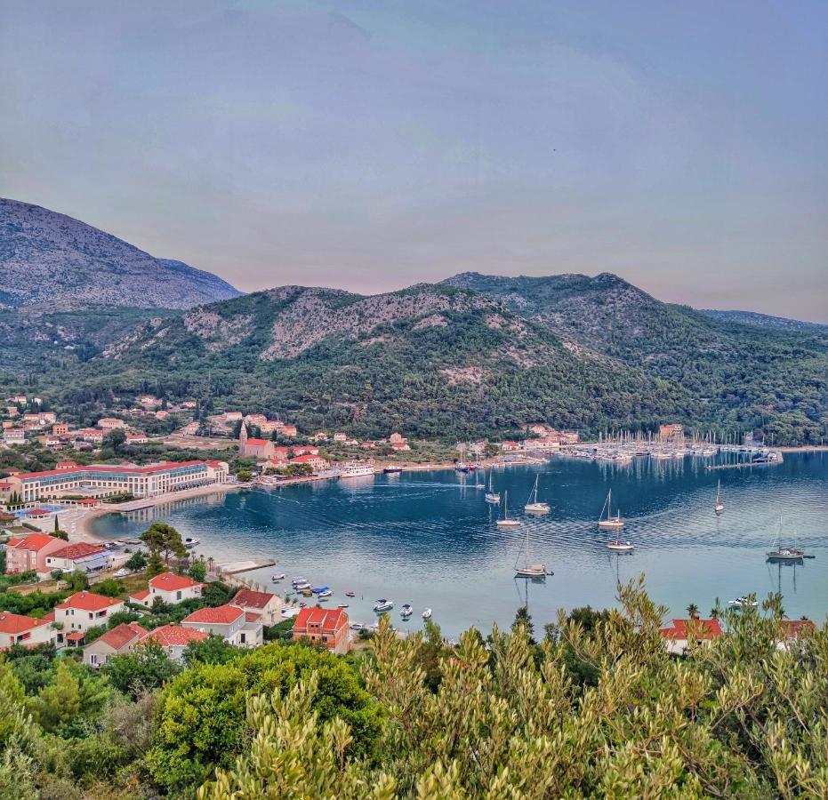 Antun Mozara Family House Bed and Breakfast Slano Εξωτερικό φωτογραφία