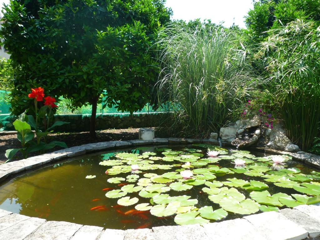 Antun Mozara Family House Bed and Breakfast Slano Εξωτερικό φωτογραφία