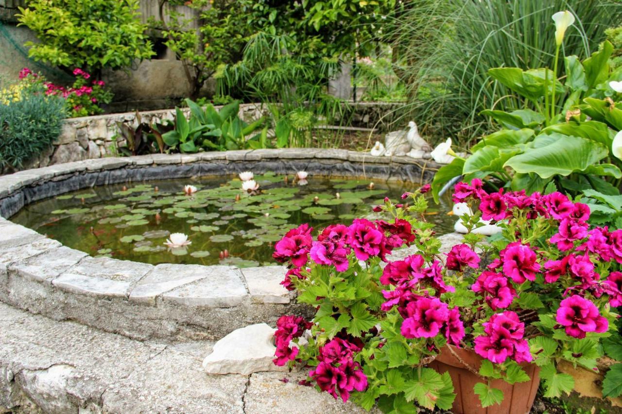 Antun Mozara Family House Bed and Breakfast Slano Εξωτερικό φωτογραφία