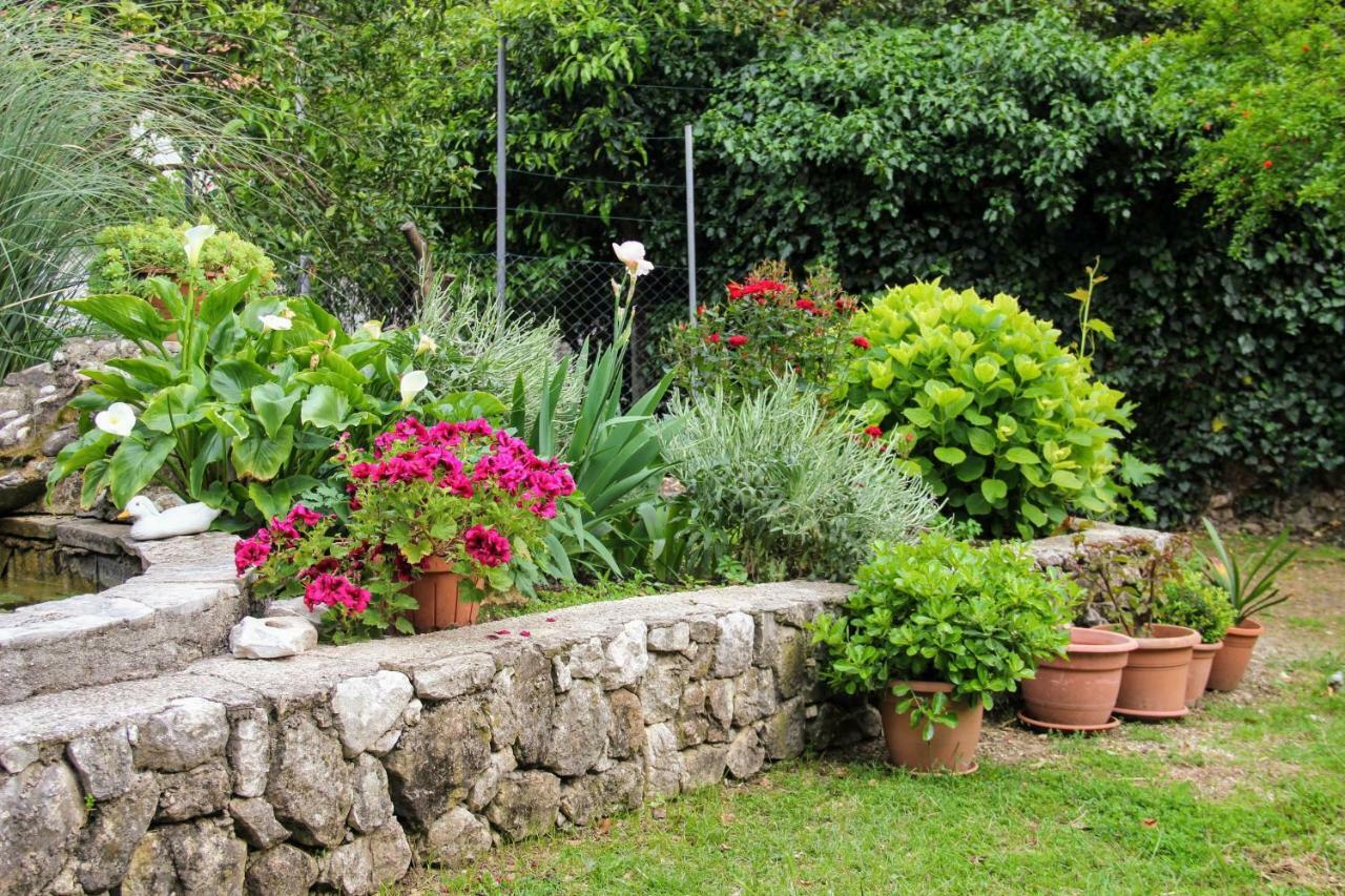 Antun Mozara Family House Bed and Breakfast Slano Εξωτερικό φωτογραφία