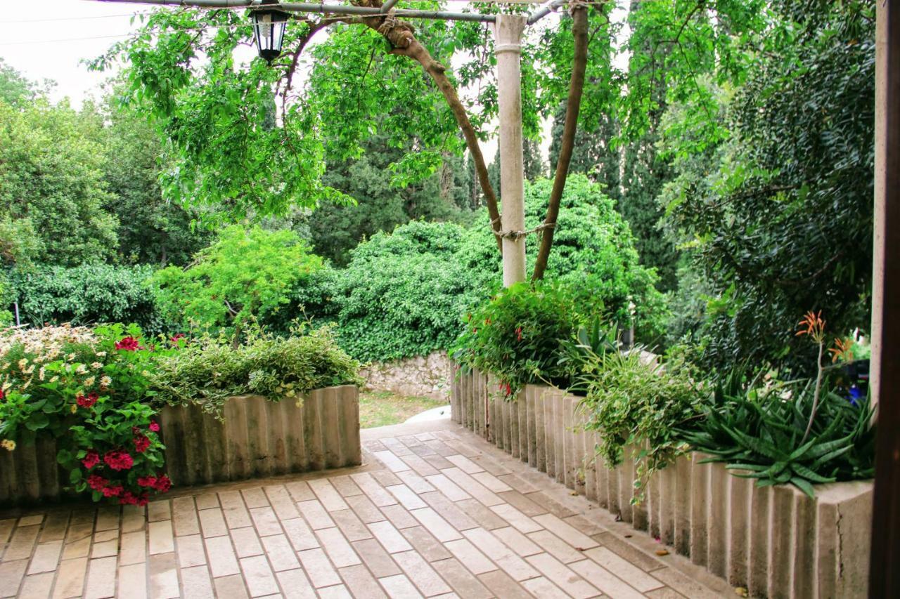 Antun Mozara Family House Bed and Breakfast Slano Εξωτερικό φωτογραφία
