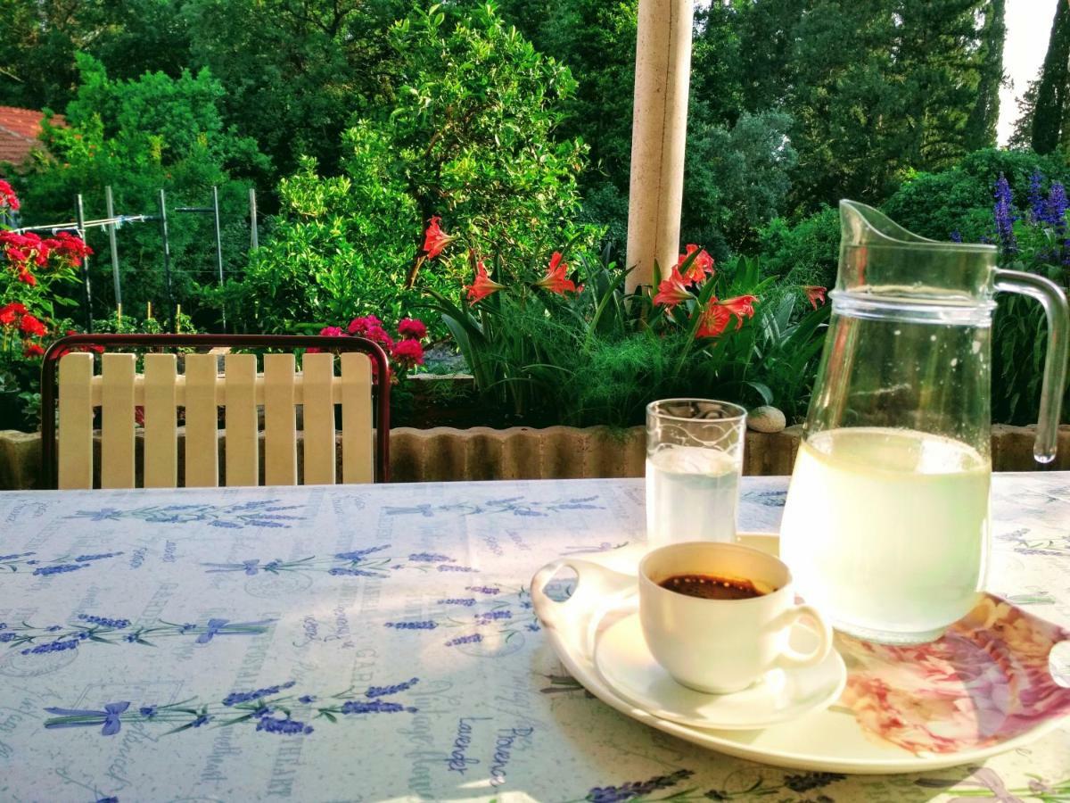Antun Mozara Family House Bed and Breakfast Slano Εξωτερικό φωτογραφία