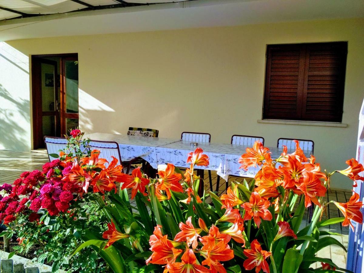 Antun Mozara Family House Bed and Breakfast Slano Εξωτερικό φωτογραφία