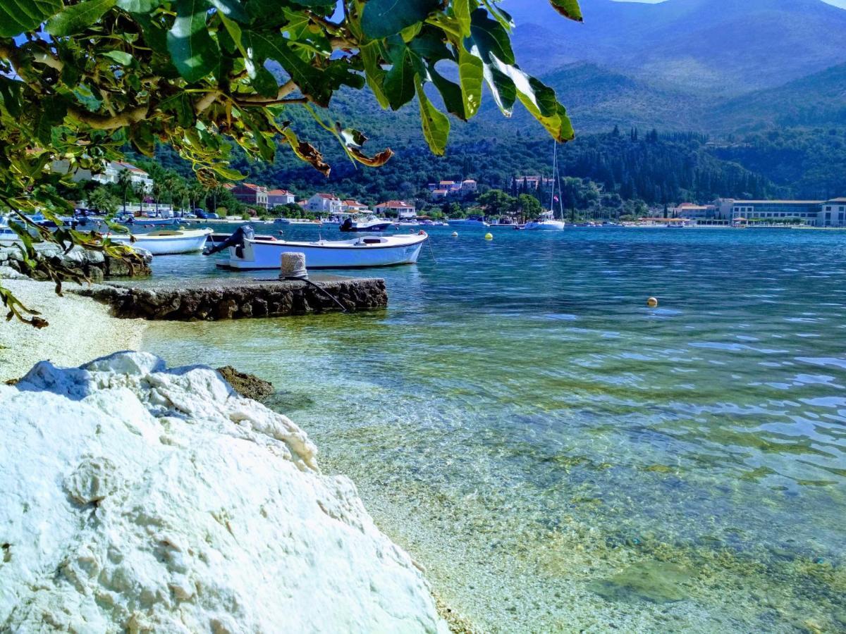 Antun Mozara Family House Bed and Breakfast Slano Εξωτερικό φωτογραφία