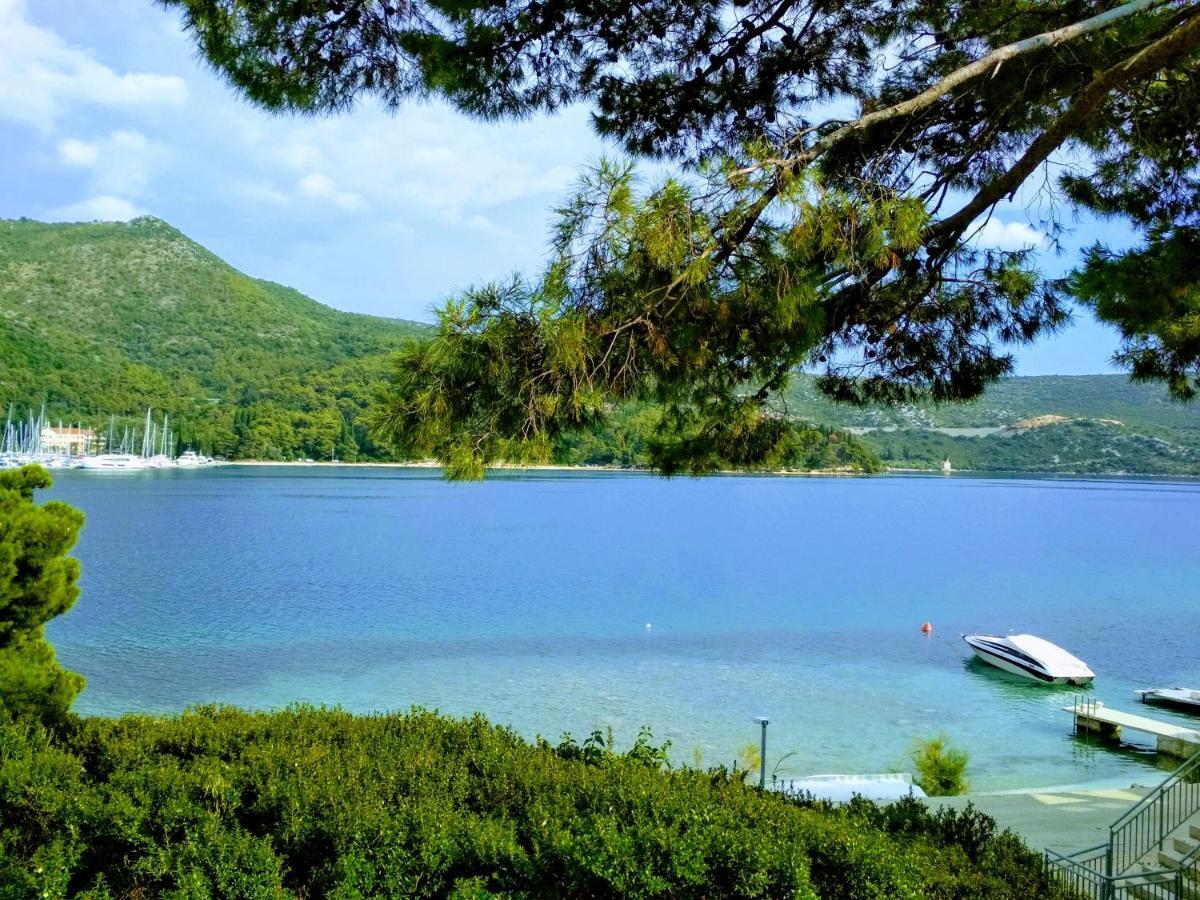 Antun Mozara Family House Bed and Breakfast Slano Εξωτερικό φωτογραφία
